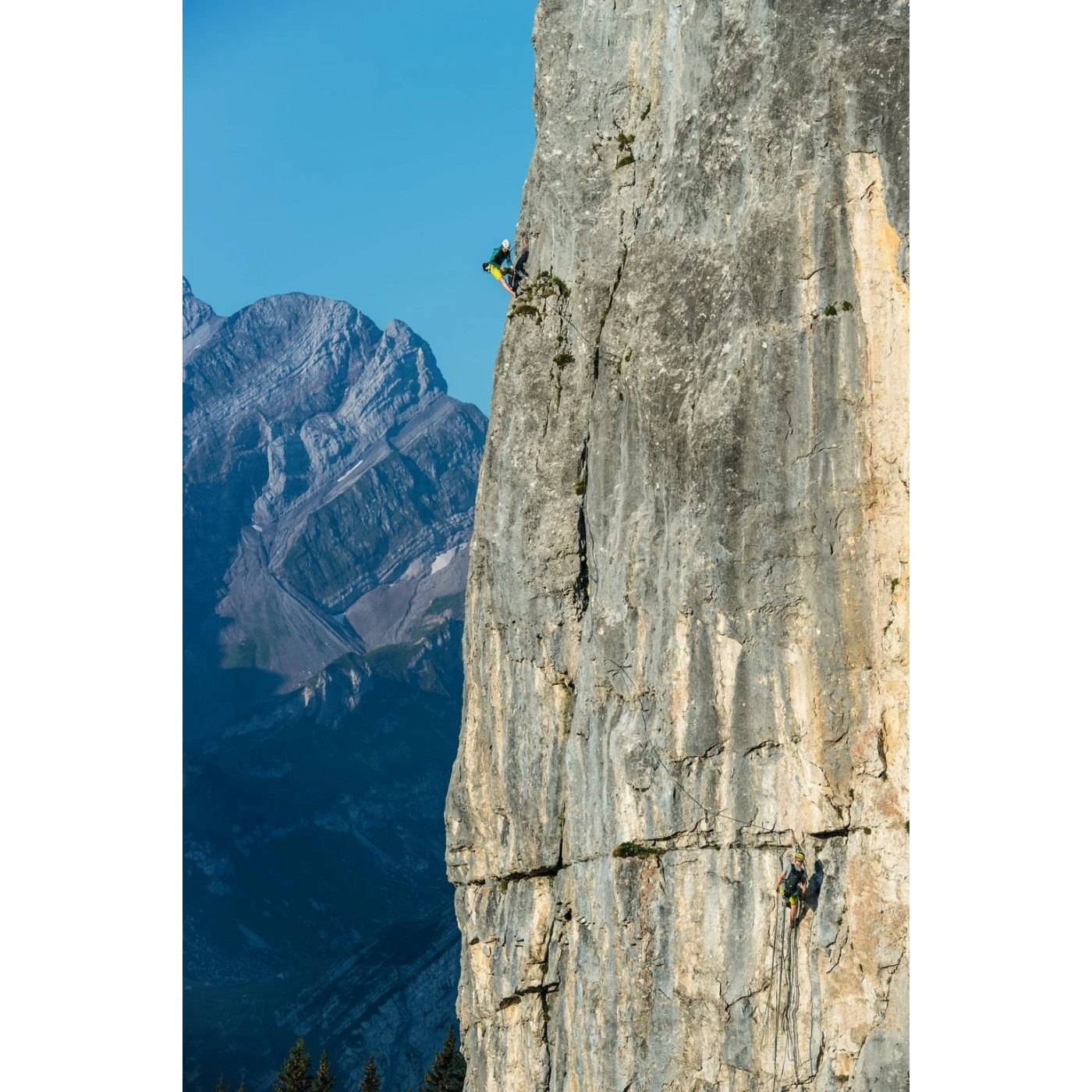 Mammut Crag Wire 10 Cm Indicator Quickdraw Set - Set Van 6 - Silver-ultramarine 2 Mammut Crag Wire 10 Cm Indicator Quickdraw Set - Set Van 6 - Silver-ultramarine - Afbeelding 2